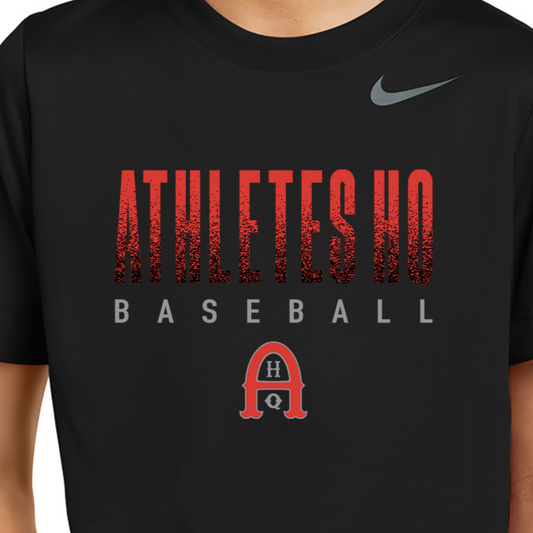 AHQ - Nike Dri-Fit Team Legend Tee - Baseball or Softball